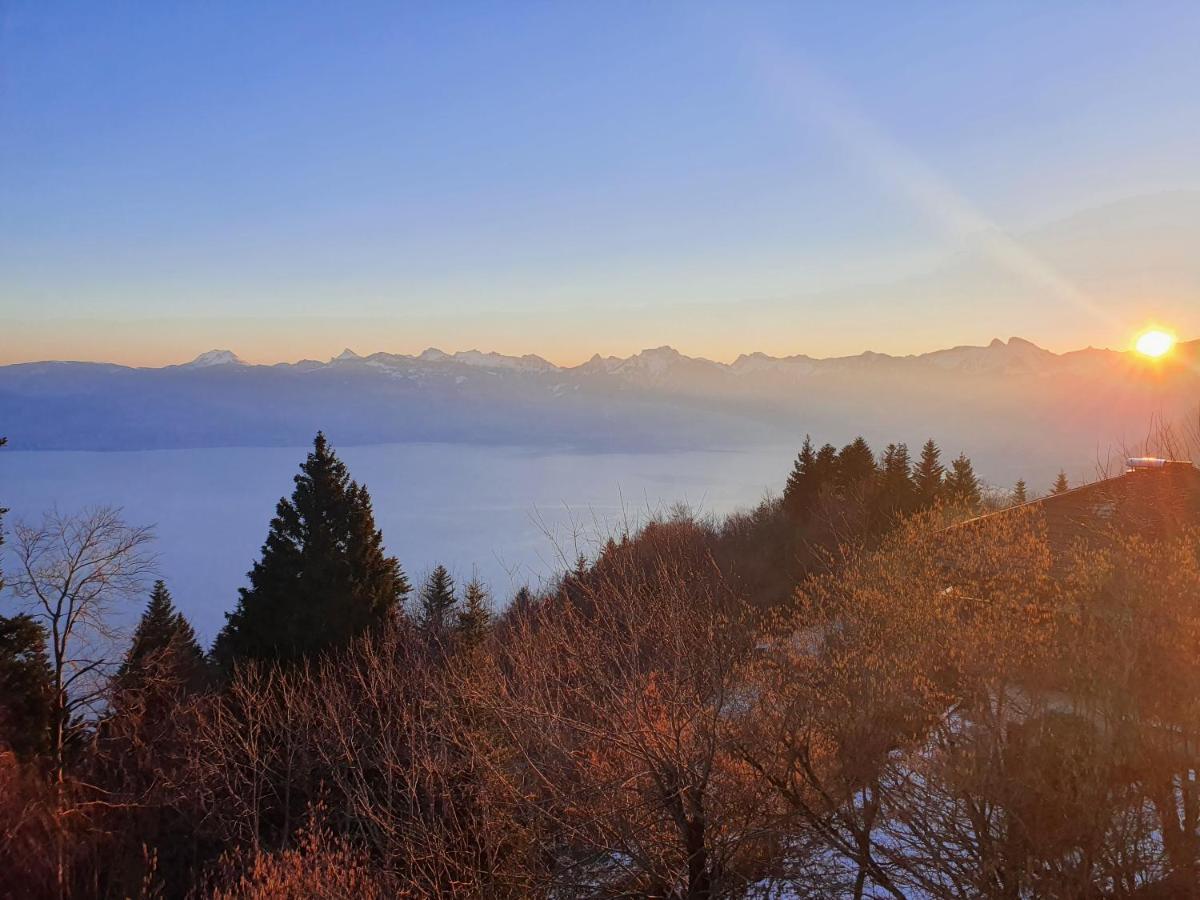Chalet Chalon Meillerie エクステリア 写真